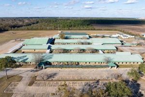 Top-Rated Ransom Middle School: A Guide | Best Schools in America: Top Public & Private Options