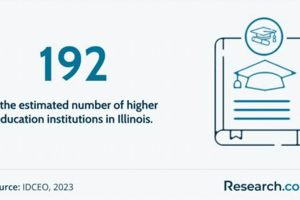 Top 5 Best Business Schools in Illinois 2024 | Best Schools in America: Top Public & Private Options