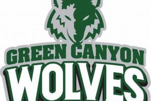 Top Green Canyon High School Football Plays & Highlights | Best Schools in America: Top Public & Private Options