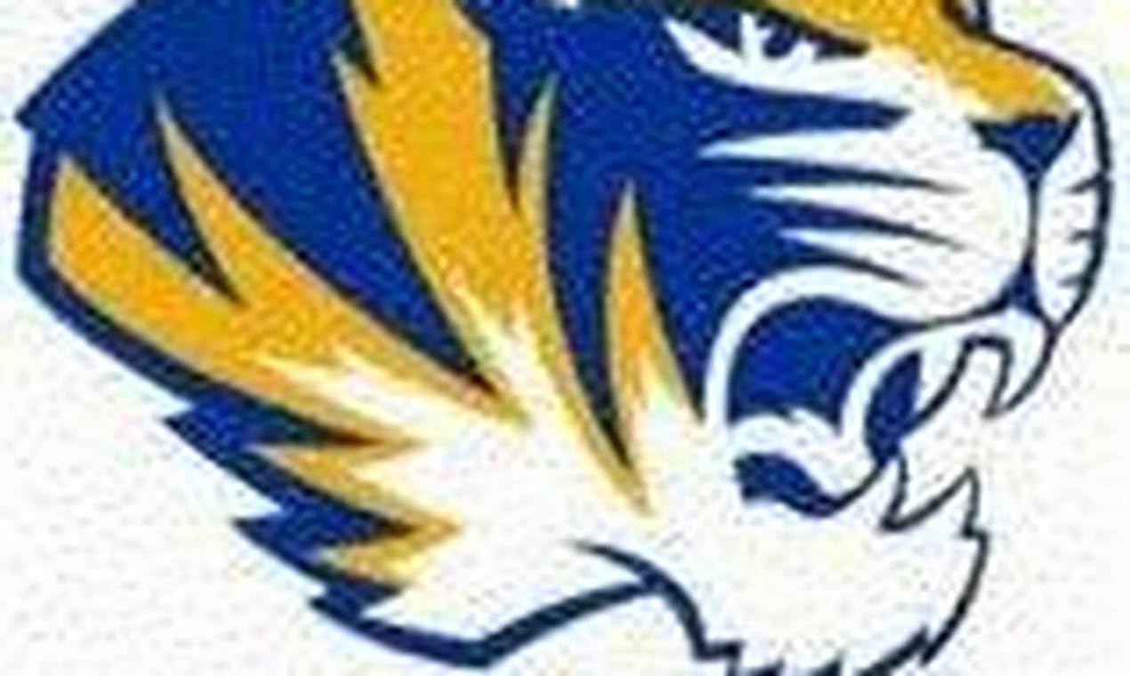 Go Chipley High School Football Tigers!