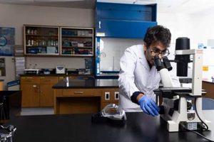 Top 10 Best Biochemistry Schools: 2024 Guide | Best Schools in America: Top Public & Private Options