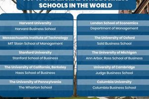 Top 10 Best Undergrad Business Schools: 2024 Ranking | Best Schools in America: Top Public & Private Options