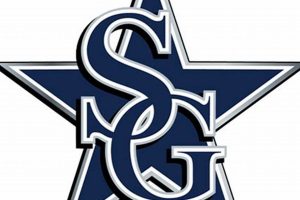 Go South Gwinnett High School Football! | Best Schools in America: Top Public & Private Options