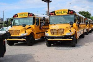 Safe & Reliable: Bibb County Schools Transportation Info Best Schools in America: Top Public & Private Options Safe & Reliable: Bibb County Schools Transportation Info | Best Schools in America: Top Public & Private Options