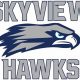 Skyview High School Football Schedule | Best Schools in America: Top Public & Private Options