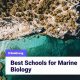 Top Best Schools for Biology Programs 2024 | Best Schools in America: Top Public & Private Options