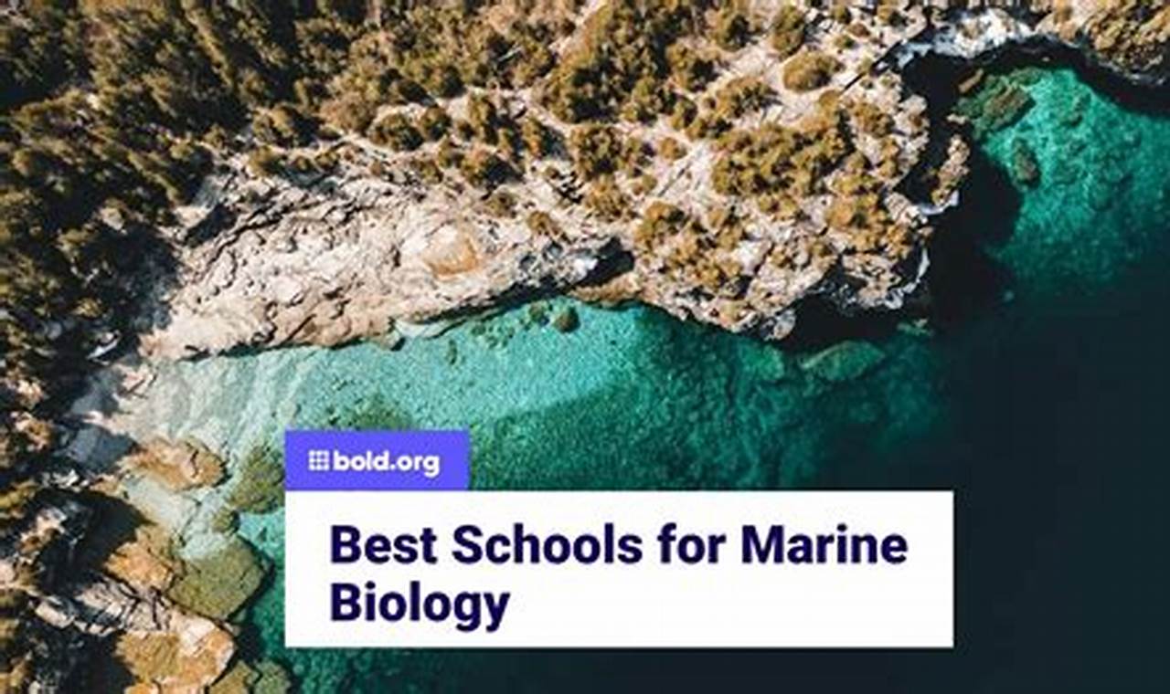 Top Best Schools for Biology Programs 2024 Best Schools in America: Top Public & Private Options Top Best Schools for Biology Programs 2024 | Best Schools in America: Top Public & Private Options