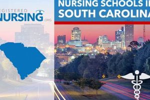 Top Nursing Schools in South Carolina 2024 Best Schools in America: Top Public & Private Options Top Nursing Schools in South Carolina 2024 | Best Schools in America: Top Public & Private Options