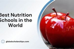 Top 10 Nutrition Schools in America 2024 | Best Schools in America: Top Public & Private Options