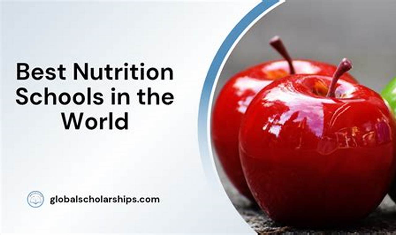 Top 10 Nutrition Schools in America 2024 Best Schools in America: Top Public & Private Options Top 10 Nutrition Schools in America 2024 | Best Schools in America: Top Public & Private Options