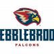 Pebblebrook High School Football: Team Updates & More | Best Schools in America: Top Public & Private Options
