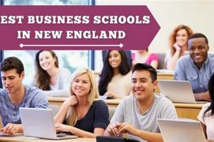 Best Business Schools In New England Best Schools in America: Top Public & Private Options Best Business Schools In New England | Best Schools in America: Top Public & Private Options