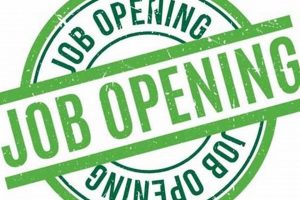 Elementary School Job Openings Near Me Best Schools in America: Top Public & Private Options Elementary School Job Openings Near Me | Best Schools in America: Top Public & Private Options