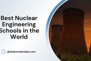 Top 10 Best Nuclear Engineering Schools & Programs Best Schools in America: Top Public & Private Options Top 10 Best Nuclear Engineering Schools & Programs | Best Schools in America: Top Public & Private Options