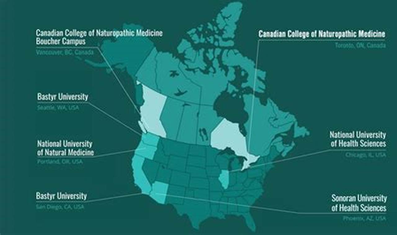 Top 10 Best Online Naturopathic Schools & Programs | Best Schools in America: Top Public & Private Options