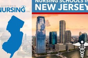 Top 10 Best Nursing Schools in New Jersey 2024 Best Schools in America: Top Public & Private Options Top 10 Best Nursing Schools in New Jersey 2024 | Best Schools in America: Top Public & Private Options