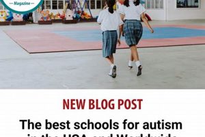 Top Autism Schools Near Me: Find the Right Fit Best Schools in America: Top Public & Private Options Top Autism Schools Near Me: Find the Right Fit | Best Schools in America: Top Public & Private Options