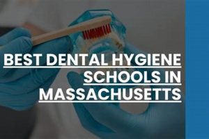 Best Dental Hygiene Schools In Massachusetts | Best Schools in America: Top Public & Private Options