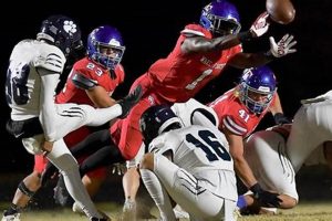 Go Millbrook! High School Football Team & Season Best Schools in America: Top Public & Private Options Go Millbrook! High School Football Team & Season | Best Schools in America: Top Public & Private Options