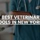 Top Veterinary Schools in New York 2024 | Best Schools in America: Top Public & Private Options