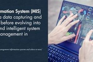 Top 10 Best Schools for Masters in Management Programs 2024 | Best Schools in America: Top Public & Private Options