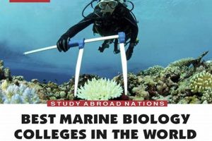 Top Marine Biology Schools: Find Your Perfect Fit | Best Schools in America: Top Public & Private Options