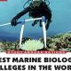 Top Marine Biology Schools: Find Your Perfect Fit | Best Schools in America: Top Public & Private Options