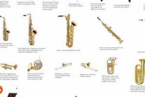 Guide to High School Band Instruments & More Best Schools in America: Top Public & Private Options Guide to High School Band Instruments & More | Best Schools in America: Top Public & Private Options