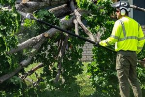 Johnston High School Damage: Updates & Recovery | Best Schools in America: Top Public & Private Options