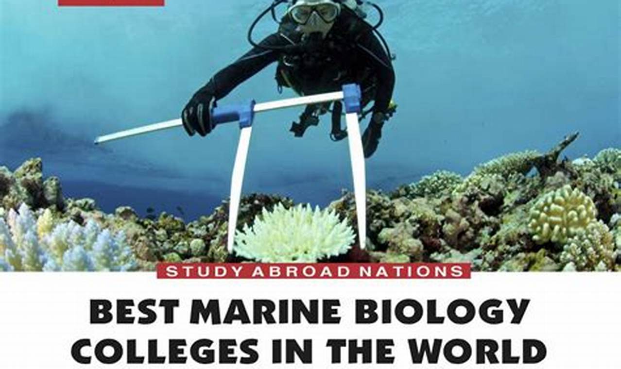 Top Marine Biology Schools & Programs: 2024 Guide Best Schools in America: Top Public & Private Options Top Marine Biology Schools & Programs: 2024 Guide | Best Schools in America: Top Public & Private Options