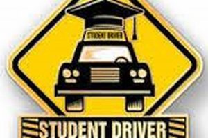 Homestead High Driver's Ed: Ace Your Road Test Best Schools in America: Top Public & Private Options Homestead High Driver's Ed: Ace Your Road Test | Best Schools in America: Top Public & Private Options