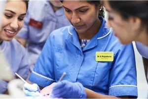 Top World's Best Dental Schools: 2024 Rankings | Best Schools in America: Top Public & Private Options