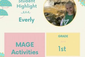 Top Gifted Elementary Schools in Chicago, IL | Best Schools in America: Top Public & Private Options