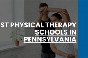 Top 10 Physical Therapy Schools in PA 2024 | Best Schools in America: Top Public & Private Options