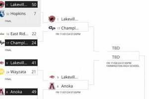 Top MN High School Football Standings & Scores | Best Schools in America: Top Public & Private Options