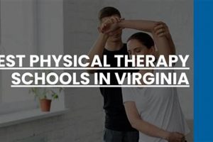 Best Physical Therapy Schools In Virginia Best Schools in America: Top Public & Private Options Best Physical Therapy Schools In Virginia | Best Schools in America: Top Public & Private Options