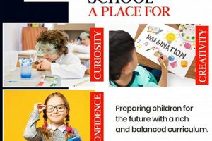 Top Mississauga Montessori Schools: 2024 Guide | Best Schools in America: Top Public & Private Options