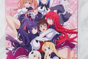 Collect Osica High School DxD Cards! Best Schools in America: Top Public & Private Options Collect Osica High School DxD Cards! | Best Schools in America: Top Public & Private Options