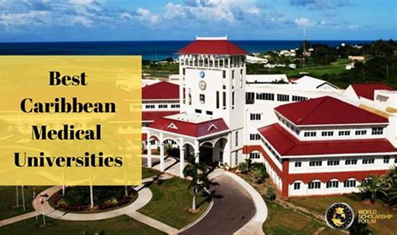 Top Caribbean Medical Schools: 2024 Guide Best Schools in America: Top Public & Private Options Top Caribbean Medical Schools: 2024 Guide | Best Schools in America: Top Public & Private Options