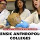 Top 5 Best Forensic Anthropology Schools & Programs | Best Schools in America: Top Public & Private Options