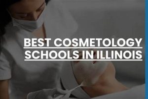 Top 10 Cosmetology Schools in Illinois 2024 | Best Schools in America: Top Public & Private Options