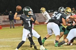 Top Flagler Palm Coast High School Football Plays | Best Schools in America: Top Public & Private Options