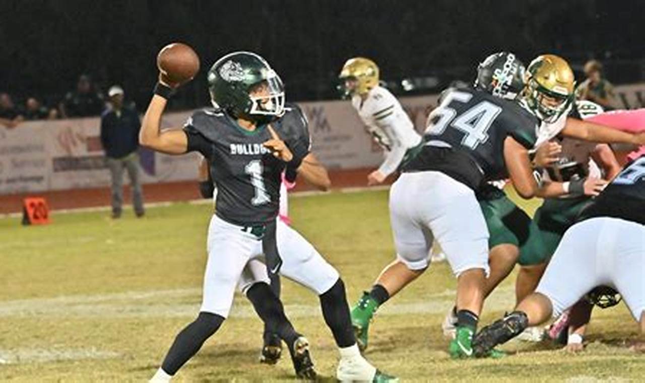 Top Flagler Palm Coast High School Football Plays | Best Schools in America: Top Public & Private Options