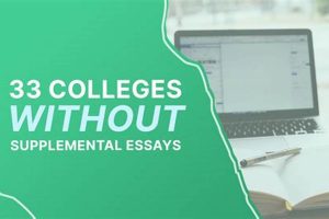 Top Colleges Without Supplemental Essays: 2024 Guide | Best Schools in America: Top Public & Private Options