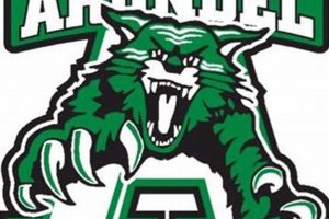 Arundel High School Football: Wildcats Game Schedule & Highlights Best Schools in America: Top Public & Private Options Arundel High School Football: Wildcats Game Schedule & Highlights | Best Schools in America: Top Public & Private Options