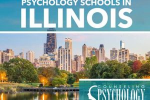 Top Psychology Schools in Illinois: 2024 Guide | Best Schools in America: Top Public & Private Options