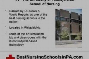 Top 10 Best PA Schools: Ultimate Guide Best Schools in America: Top Public & Private Options Top 10 Best PA Schools: Ultimate Guide | Best Schools in America: Top Public & Private Options