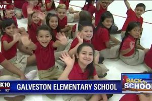 Top Galveston Elementary Schools: A Guide | Best Schools in America: Top Public & Private Options