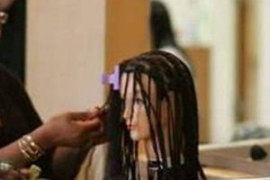 Top Tampa Cosmetology Schools & Programs | Best Schools in America: Top Public & Private Options
