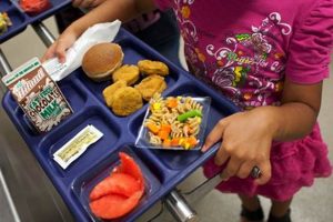 Coweta County Schools Lunch Menu: Nutritious & Delicious | Best Schools in America: Top Public & Private Options